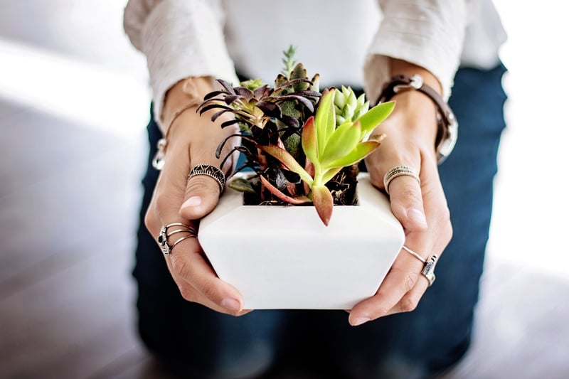 Container Gardening